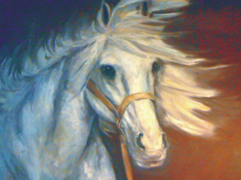 Obraz projektanta Beaty Owczarek - koń
